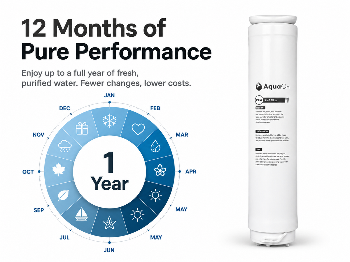 Aquaon aq100 water filter cartridge with a calendar graphic indicating '12 Months of Pure Performance' on a white background.